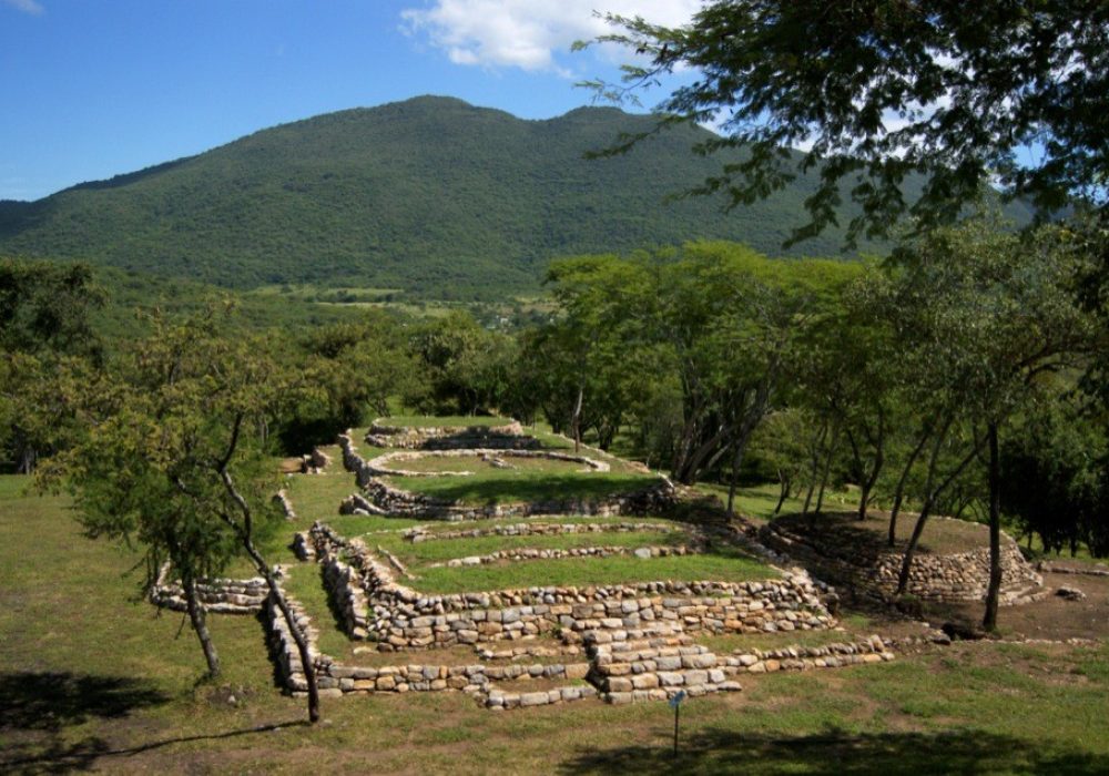 Tancama 2