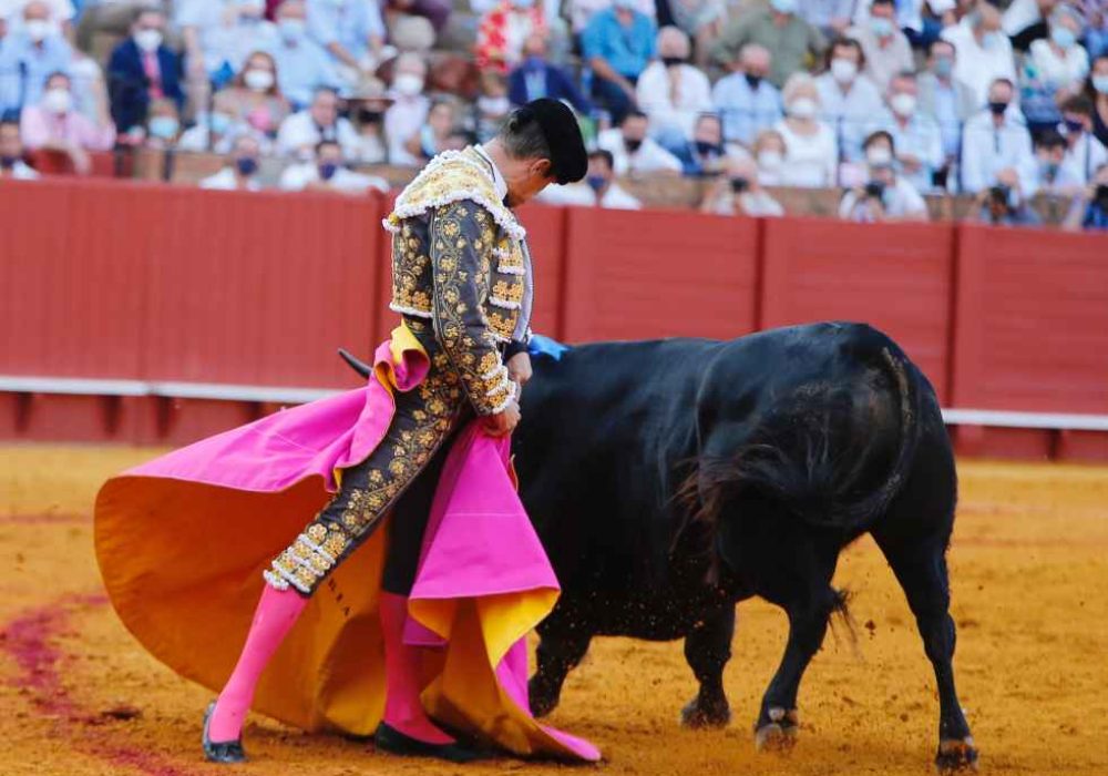 Tauromaquia