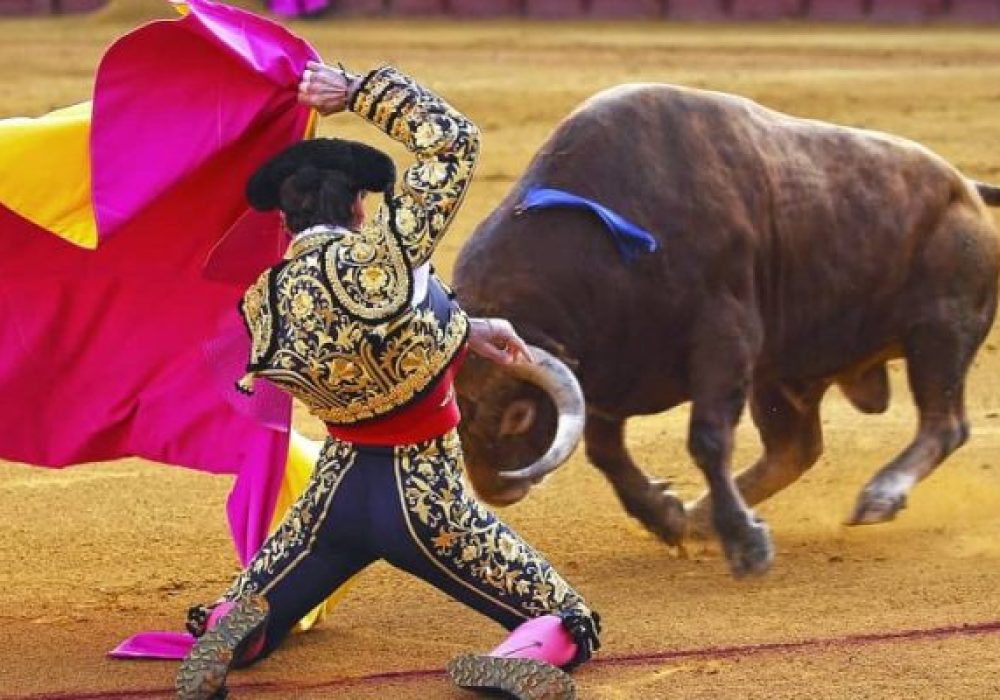 Tauromaquia_Kuri