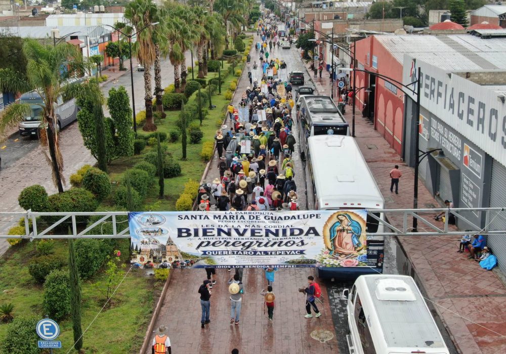 Tradición_Pedro Escobedo