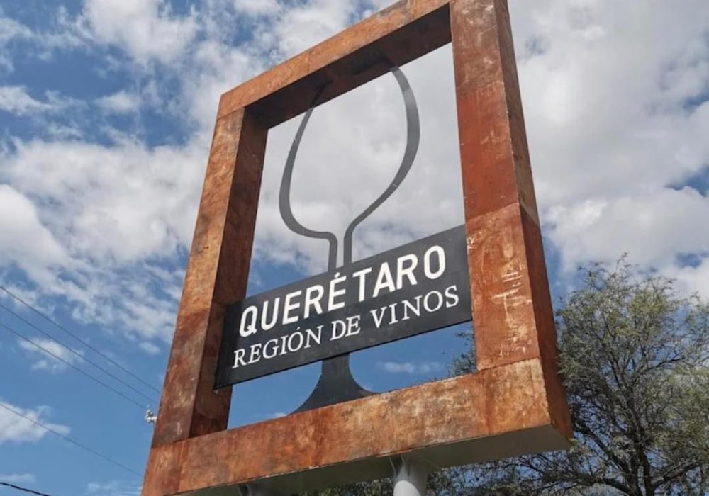 Viñedos