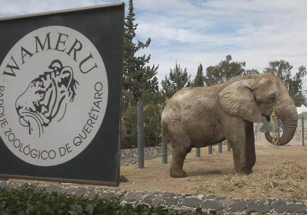 Zooológico_Wamerú