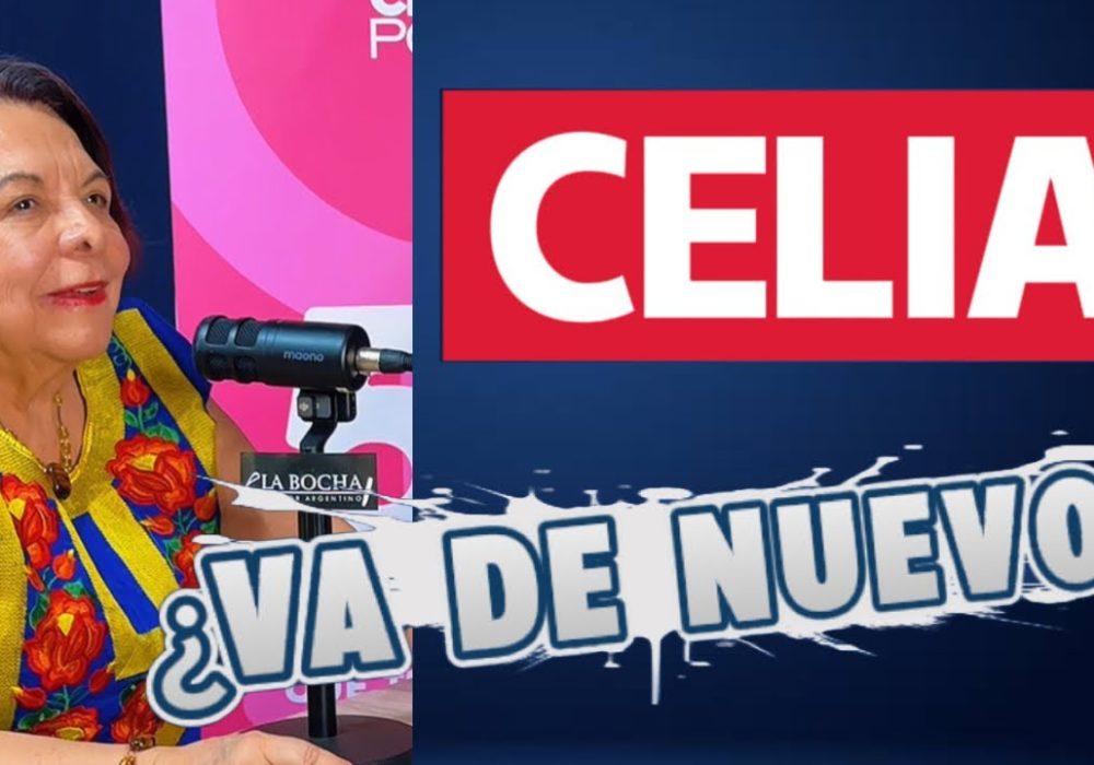 Celia Maya: Derrotas en las urnas, pero no en la política